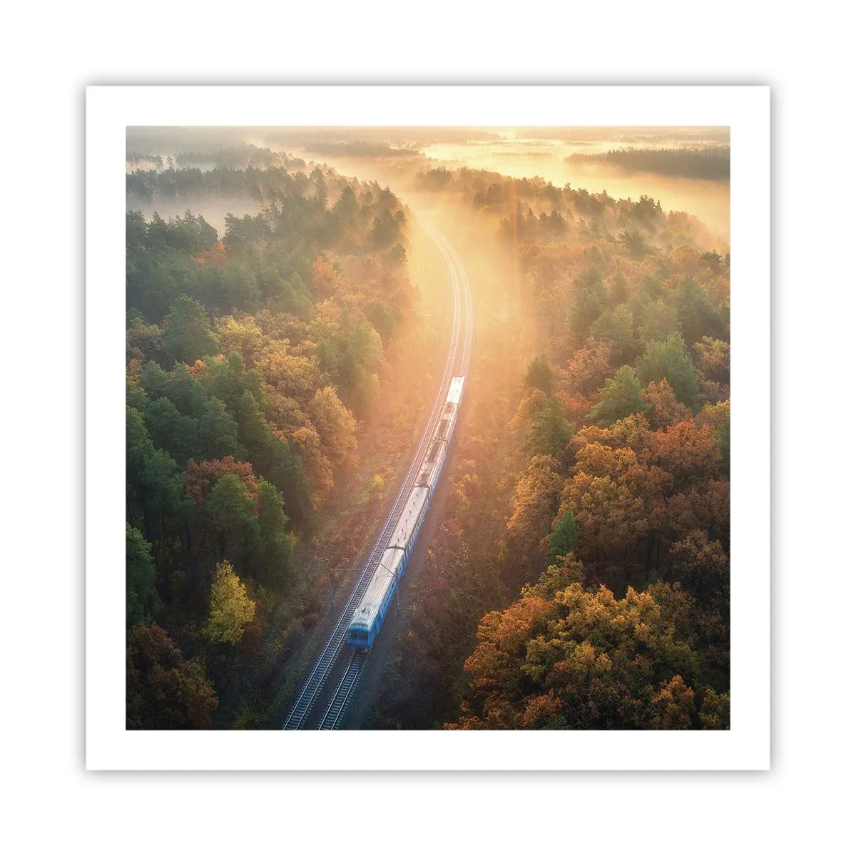 Poster - Herbstreise - 60x60 cm