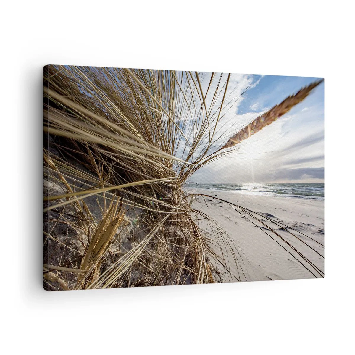 Bild auf Leinwand - Leinwandbild - Ein Strand mit trockenem Gras auf den Dünen und Blick auf das Meer - 70x50cm - Ein Treffen der Elemente der Natur - Moderne Wanddekoration für Wohnzimmer und Schlafzimmer ARTTOR