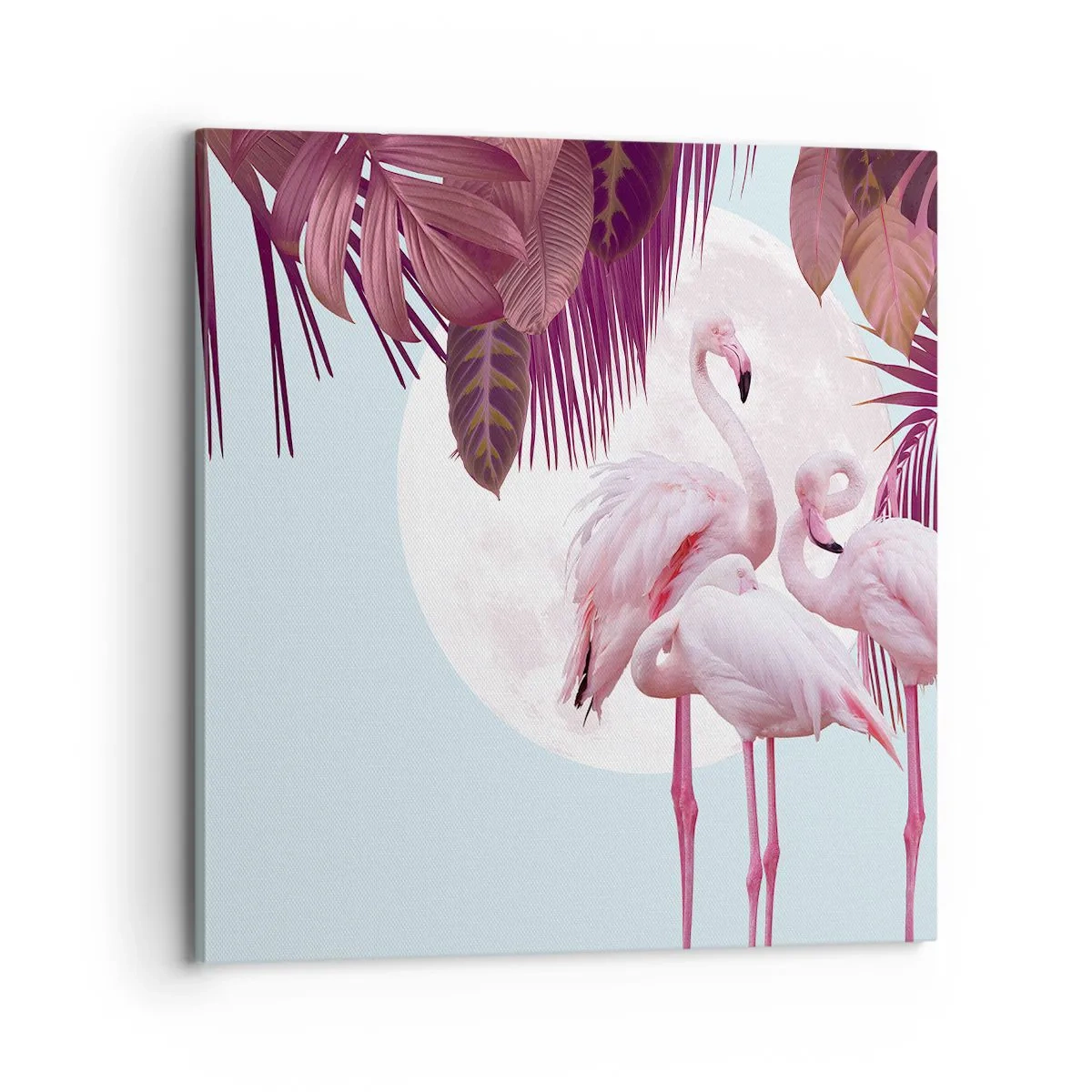 Bild auf Leinwand - Leinwandbild - Drei Vogelgnaden - 70x70 cm