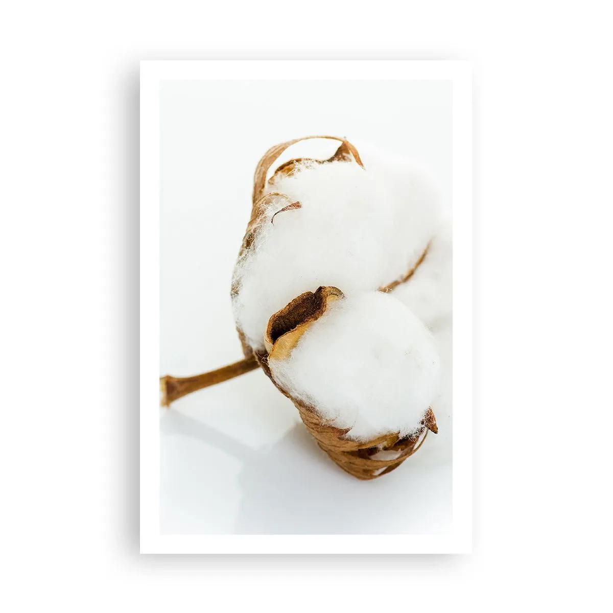 Poster - Von Natur aus weich - 61x91 cm