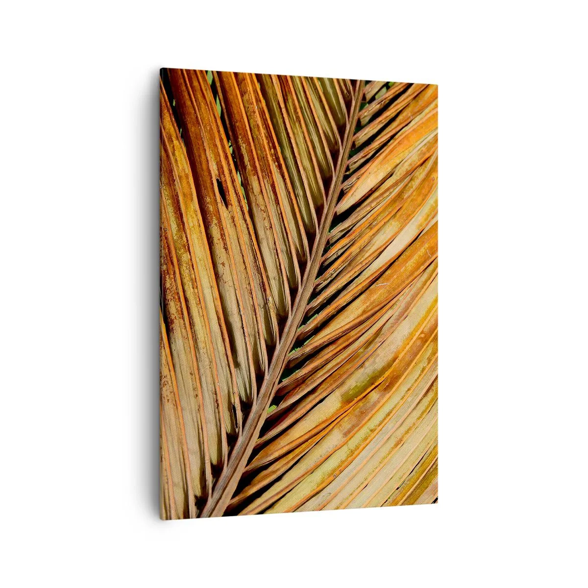 Bild auf Leinwand - Leinwandbild - Nahaufnahme eines trockenen Palmblattes in warmen Tönen - 70x100cm - Kokosnuss-Gold - Moderne Wanddekoration für Wohnzimmer und Schlafzimmer ARTTOR