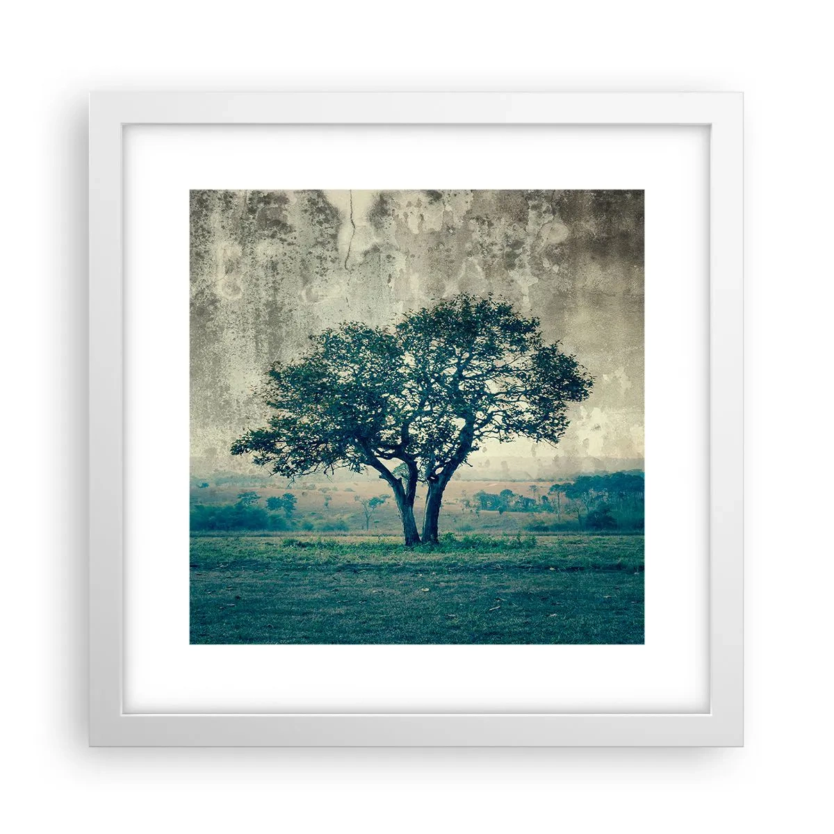 Poster in einem weißen Rahmen - Ein Apfelbaum auf blauem Feld? - 30x30 cm