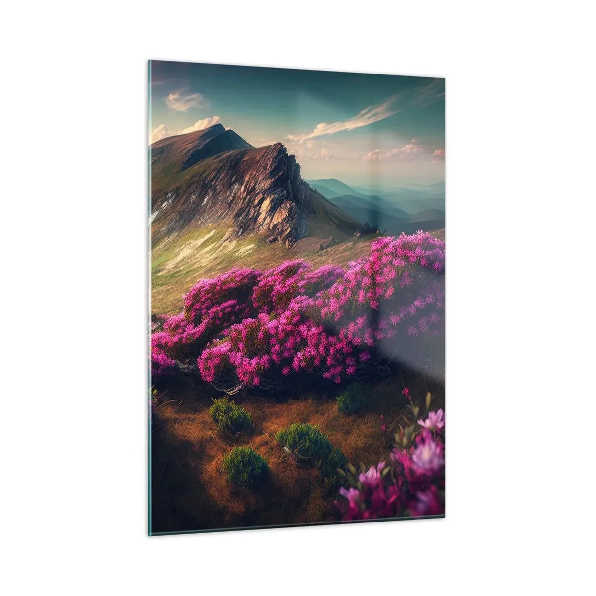 Glasbild - Bild auf glas - Sommerliche Berglandschaft mit blühendem rosa Heidekraut - 50x70cm - Sommer in den Bergen - Moderne Wanddekoration für Wohnzimmer und Schlafzimmer ARTTOR