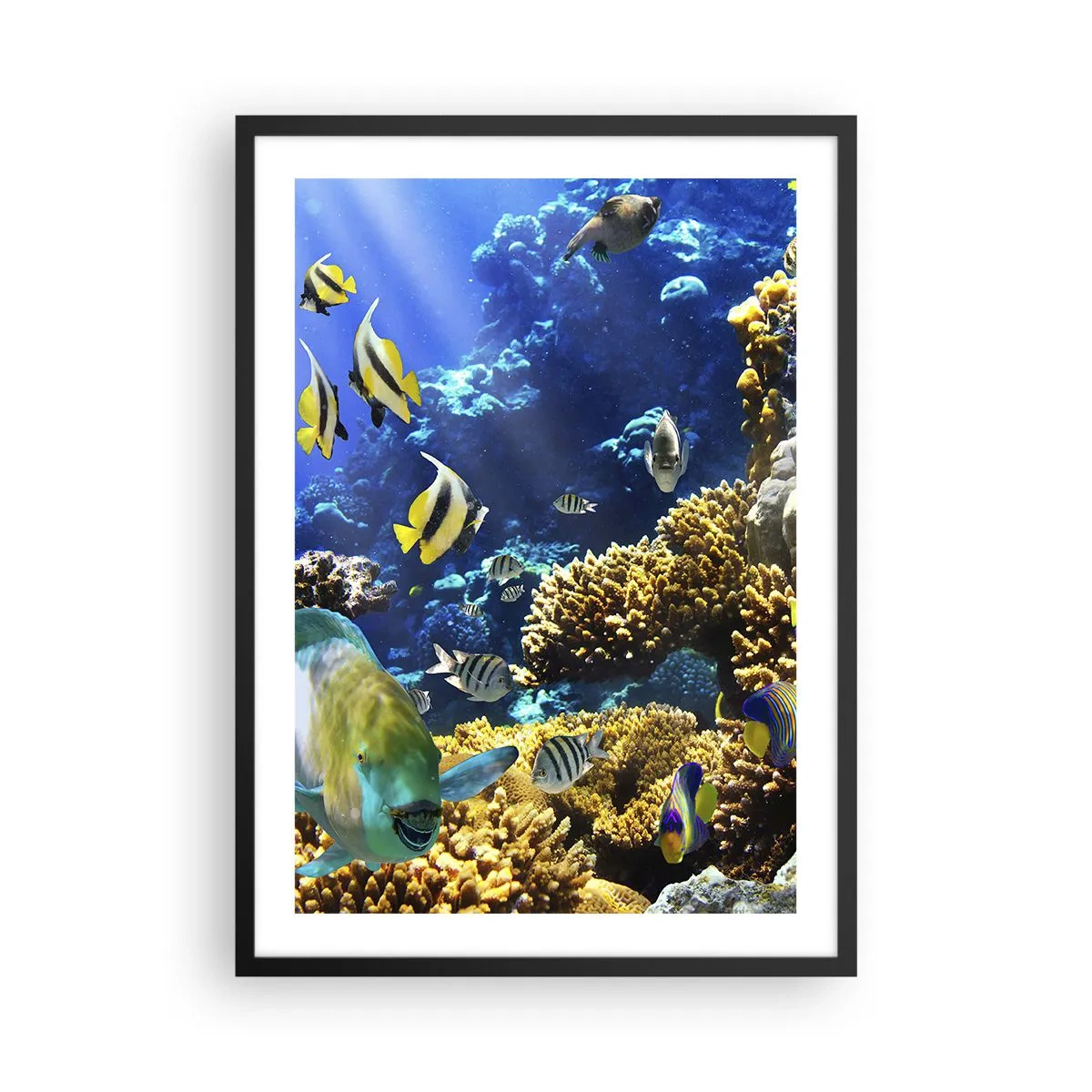 Poster in einem schwarzem Rahmen - Eine Unterwasserwelt mit bunten Fischen und einem Korallenriff - 50x70cm - Viel Verkehr auf dem Ferienweg - Moderne Wanddekoration für Wohnzimmer und Schlafzimmer ARTTOR