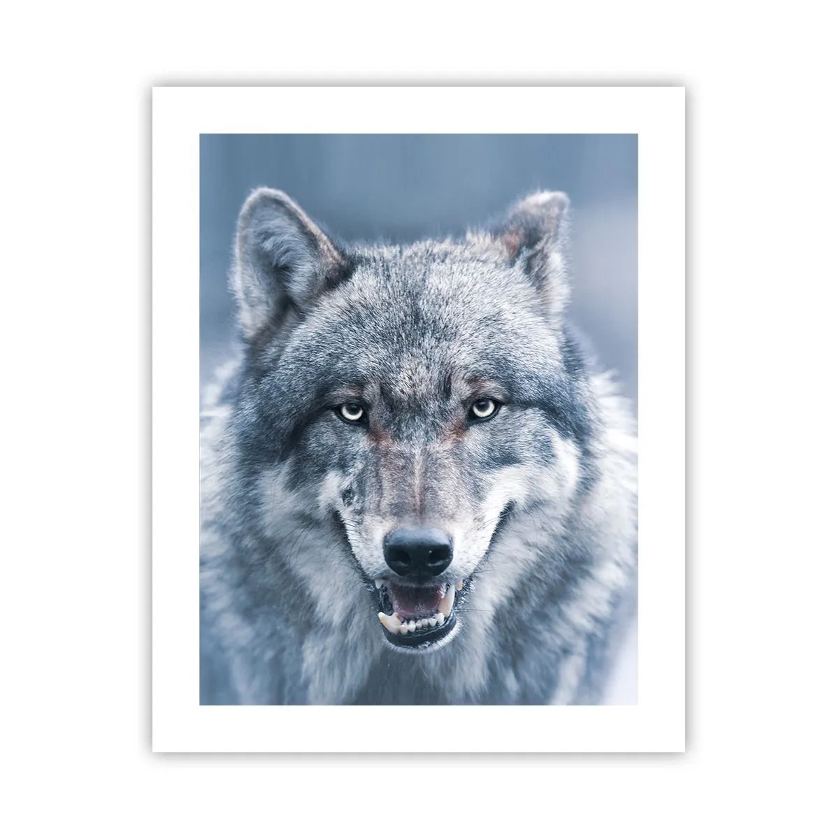 Poster - Werden Sie die Herausforderung annehmen? - 40x50 cm