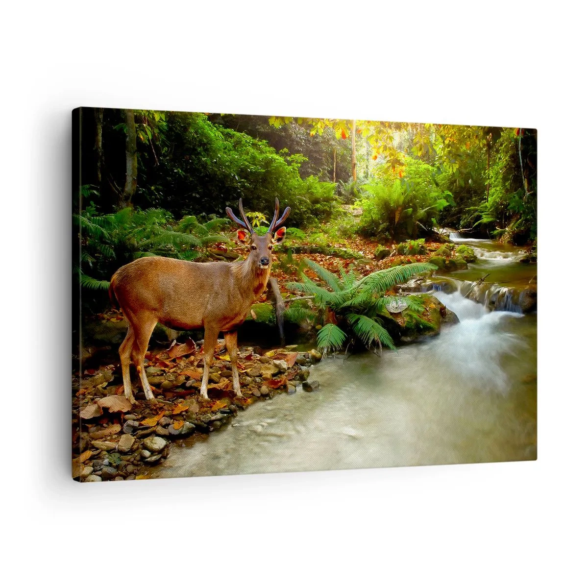 Bild auf Leinwand - Leinwandbild - Ein Reh an einem Bach, umgeben von Grün im Wald - 70x50cm - Willkommen in meiner Welt - Moderne Wanddekoration für Wohnzimmer und Schlafzimmer ARTTOR