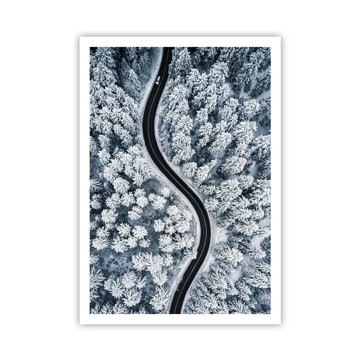 Poster - Durch den Winterwald - 70x100 cm