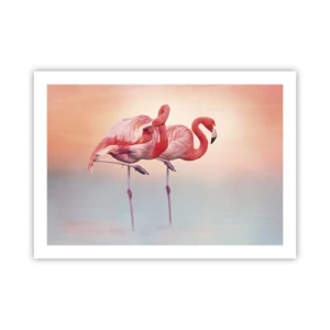 Poster - Die Farbe der untergehenden Sonne - 70x50 cm