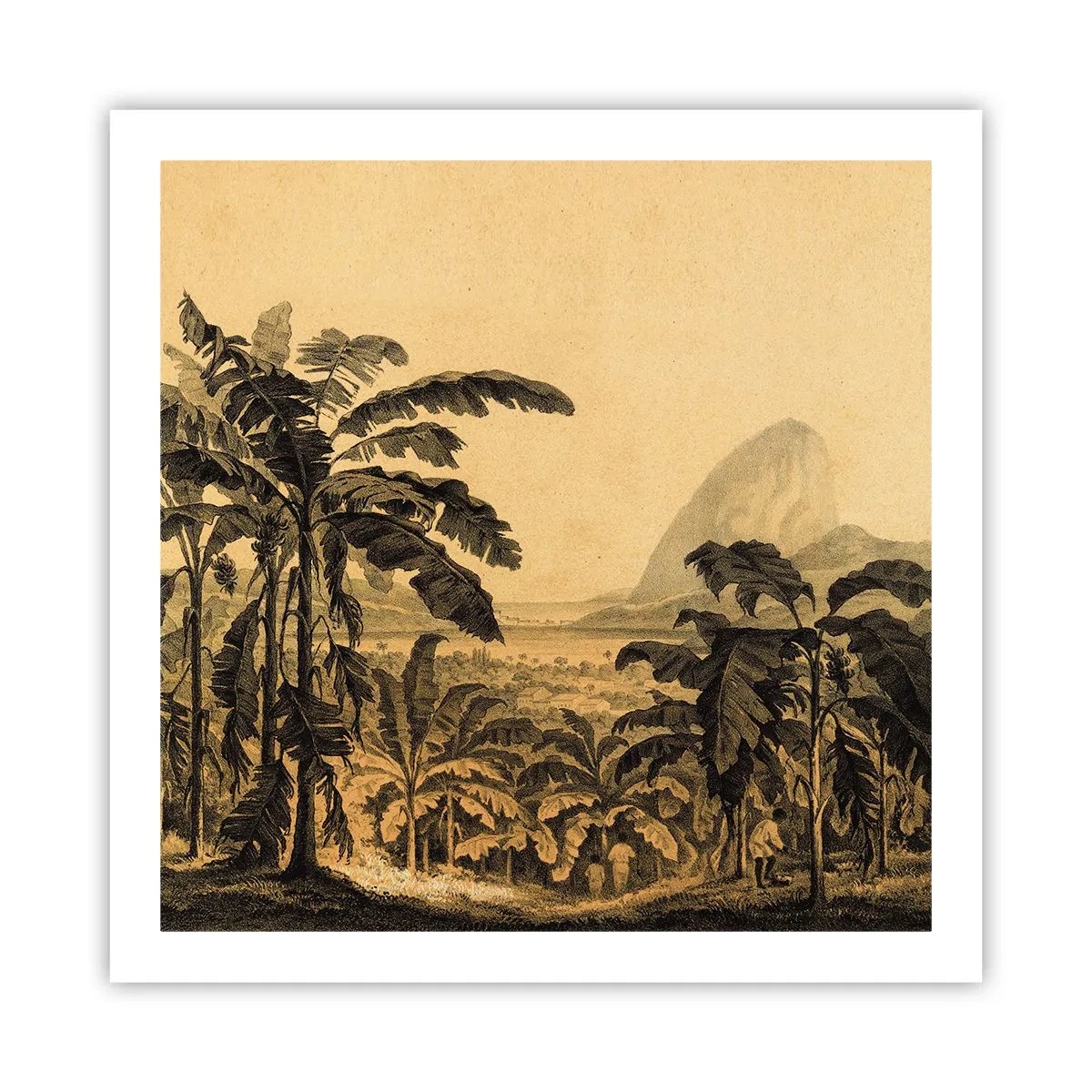 Poster - in einem kolonialen Klima - 60x60 cm