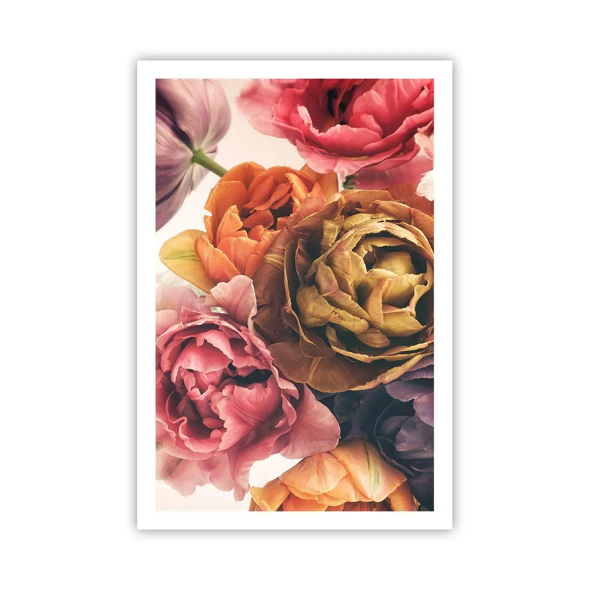 Poster - Eine Feier des Lebens - 61x91 cm