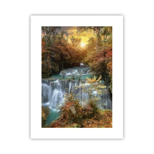 Poster - Versteckter Schatz des Waldes - 30x40 cm