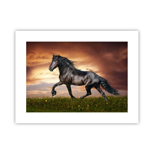 Poster - Schwarzer Prinz - 40x30 cm