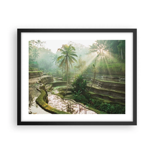 Poster in einem schwarzem Rahmen - In der Sonne aufwachsen - 50x40 cm
