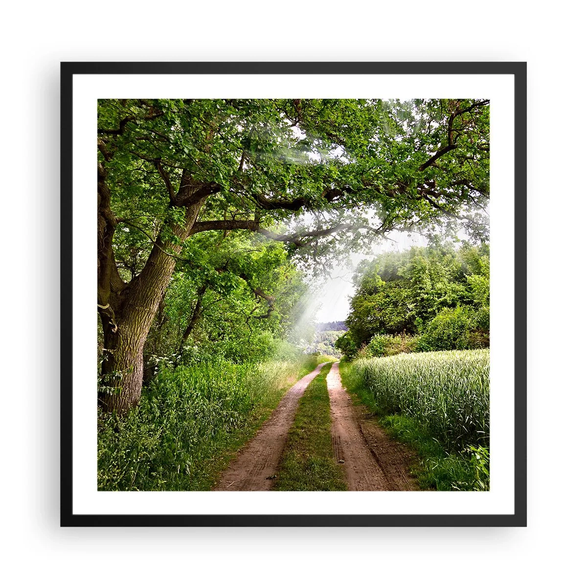 Poster in einem schwarzem Rahmen - Et in Arcadia ego - 60x60 cm