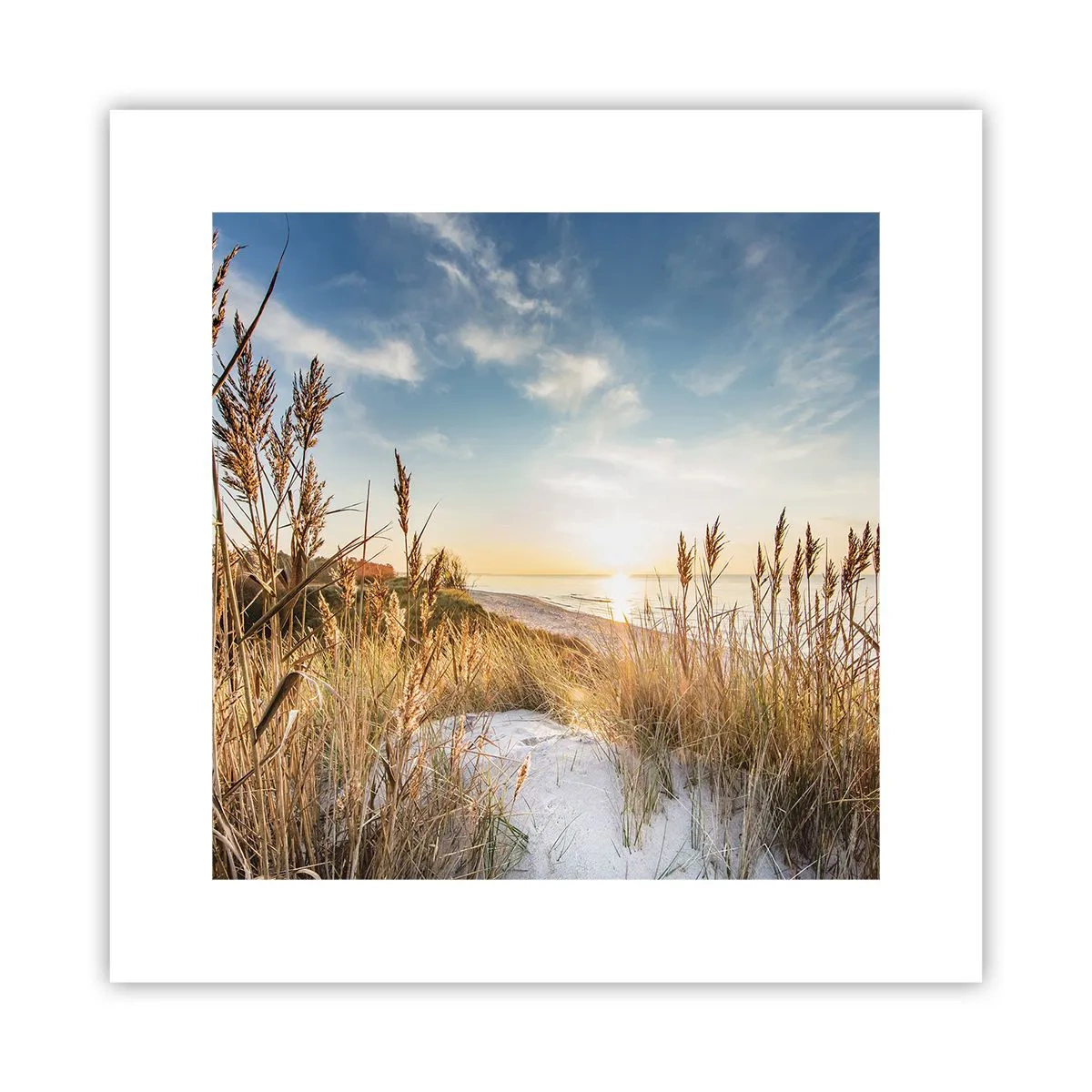 Poster - Nordstrand - 30x30 cm