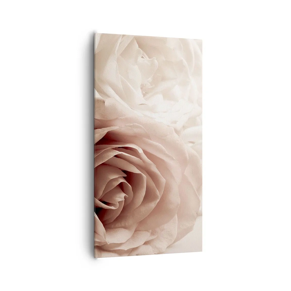 Bild auf Leinwand - Leinwandbild - Im Herzen der Rose - 65x120 cm