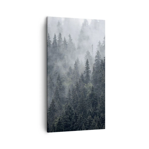 Bild auf Leinwand - Leinwandbild - Walddämmerung - 45x80 cm