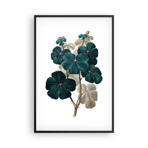 Poster in einem schwarzem Rahmen - Aus dem alten Herbarium - 61x91 cm