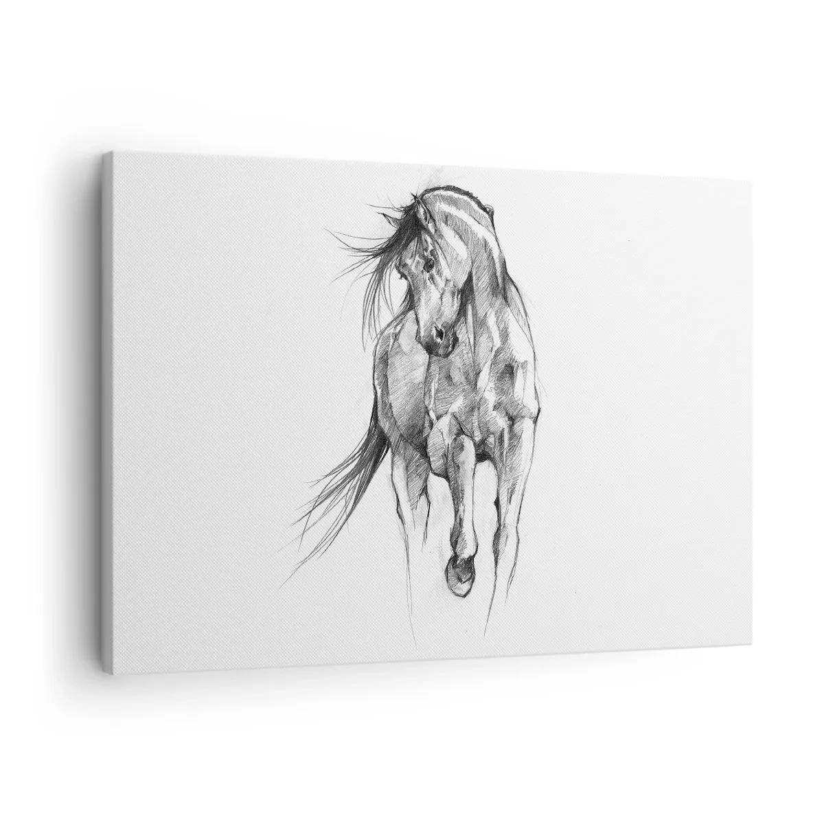 Bild auf Leinwand - Leinwandbild - Schwarz-Weiß-Skizze eines galoppierenden Pferdes - 70x50cm - Im anmutigen Trab - Moderne Wanddekoration für Wohnzimmer und Schlafzimmer ARTTOR