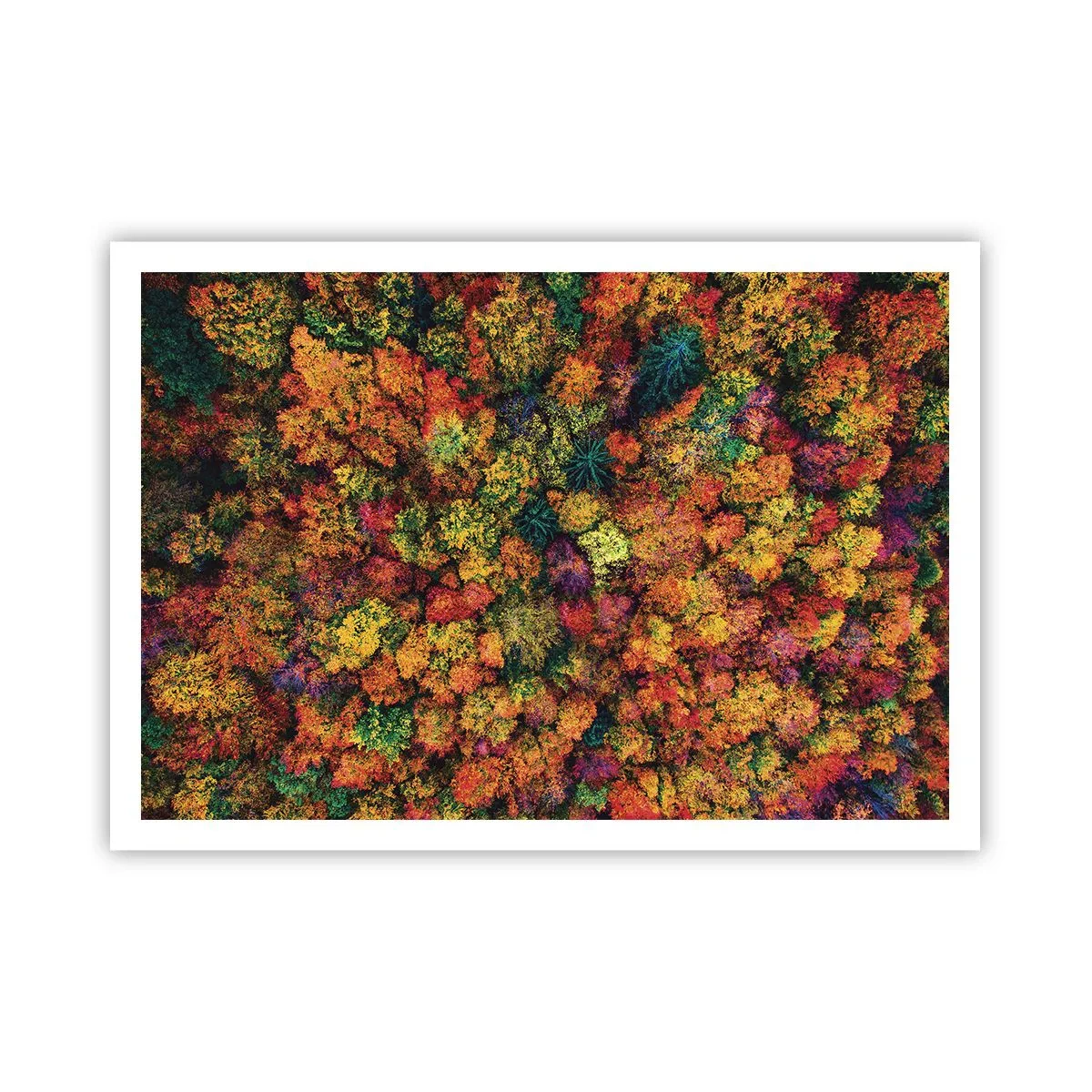 Poster - Bunte Baumkronen in der Herbstpalette - 100x70cm - Blumenstrauß aus Herbstbäumen - Moderne Wanddekoration für Wohnzimmer und Schlafzimmer ARTTOR