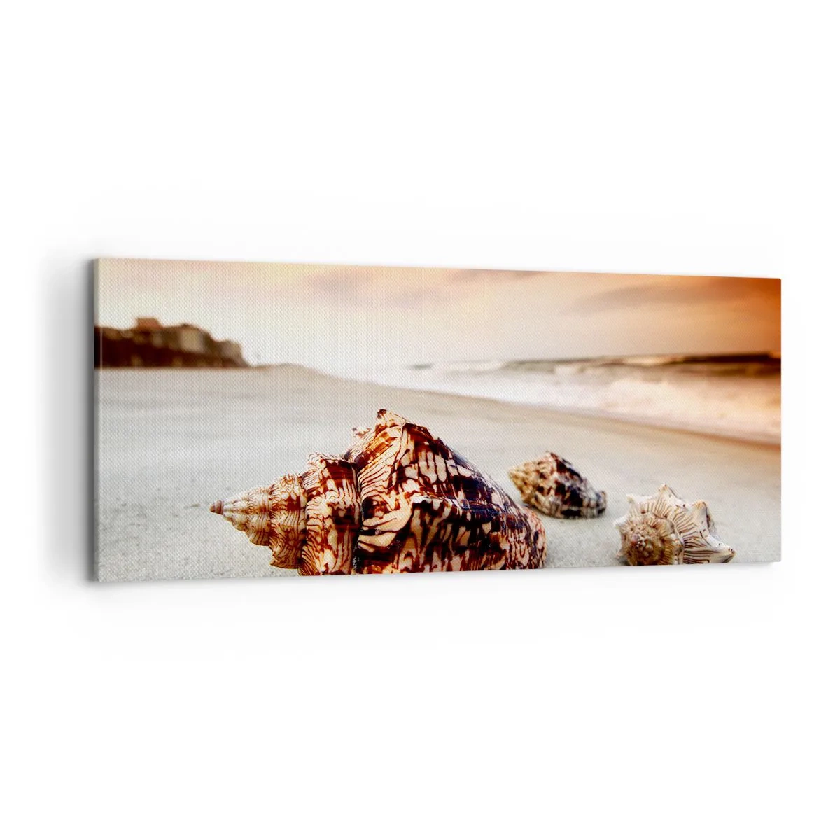 Bild auf Leinwand - Leinwandbild - Muscheln am Strand bei Sonnenuntergang - 120x50cm - Ausgestoßene von Wellen - Moderne Wanddekoration für Wohnzimmer und Schlafzimmer ARTTOR