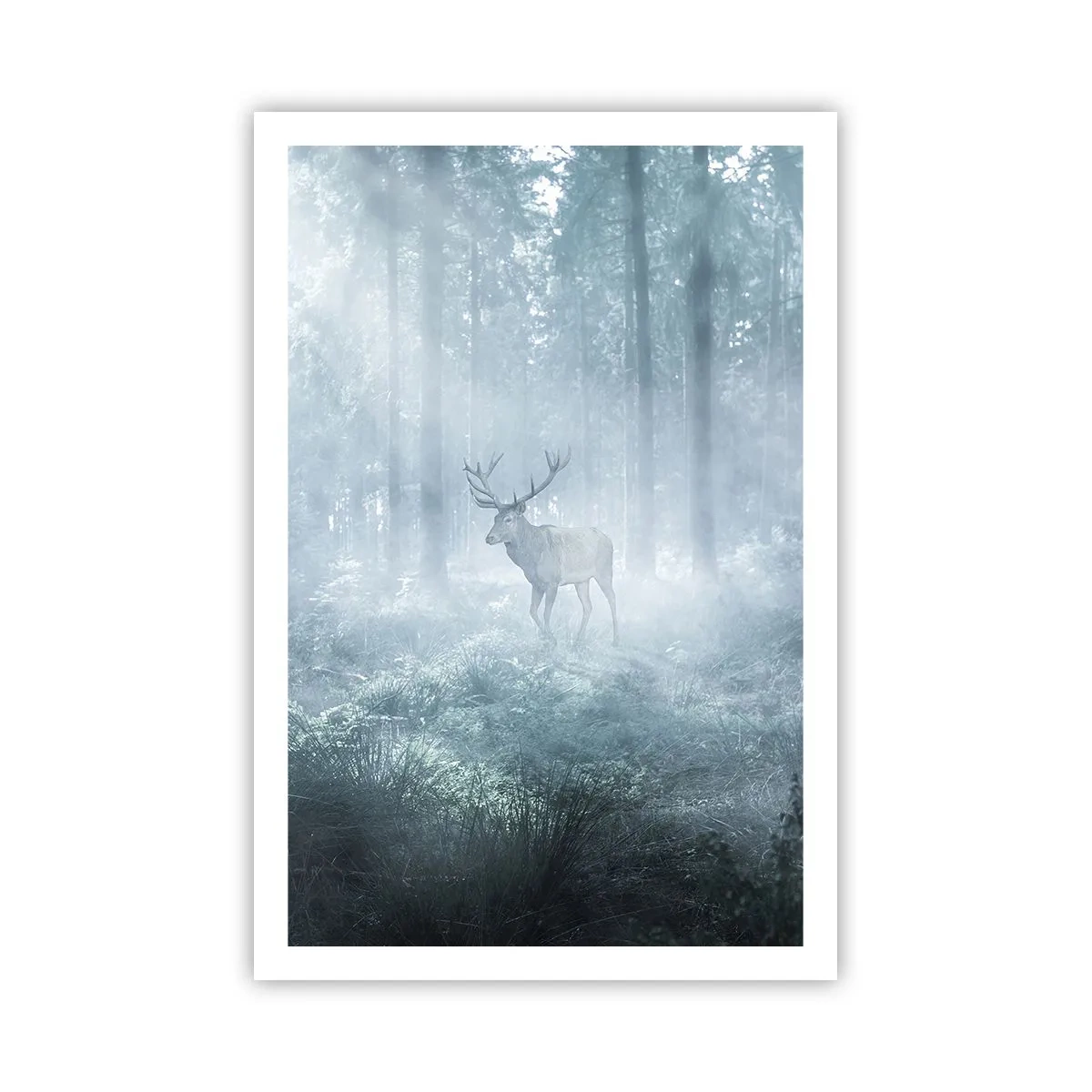 Poster - Morgenvisite auf dem Grundstück - 61x91 cm