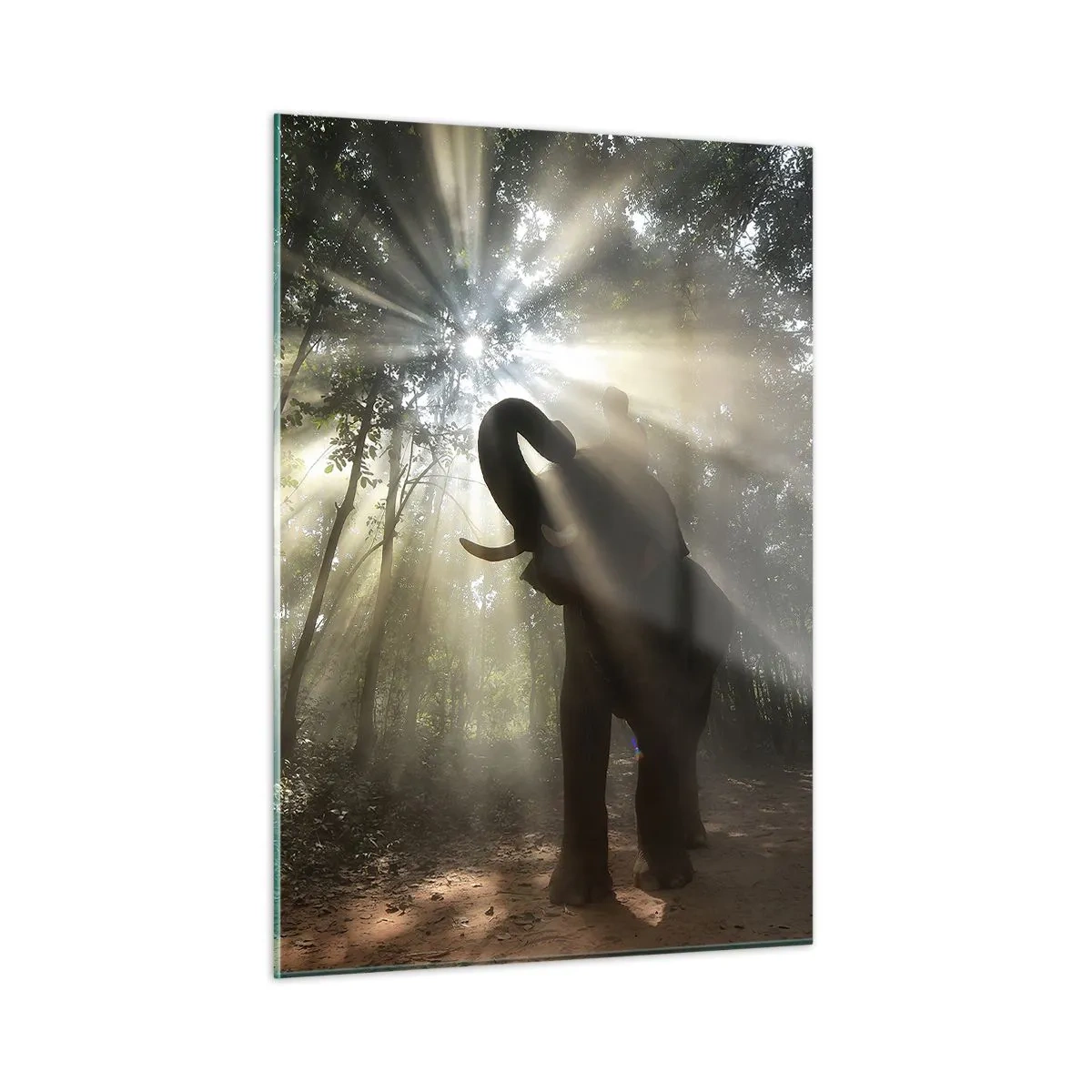 Glasbild - Bild auf glas - Ein Elefant in einem Wald, der vom Sonnenlicht erleuchtet wird - 50x70cm - Unter dem Glücksstern - Moderne Wanddekoration für Wohnzimmer und Schlafzimmer ARTTOR