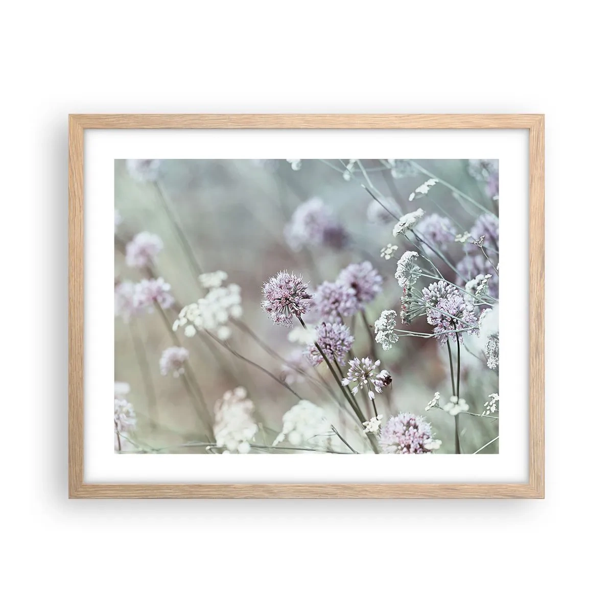 Poster in einem Rahmen aus heller Eiche - Süße filigrane Kräuter - 50x40 cm