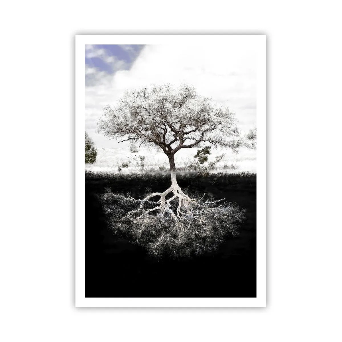 Poster - Die Natur der Welt entdecken - 70x100 cm