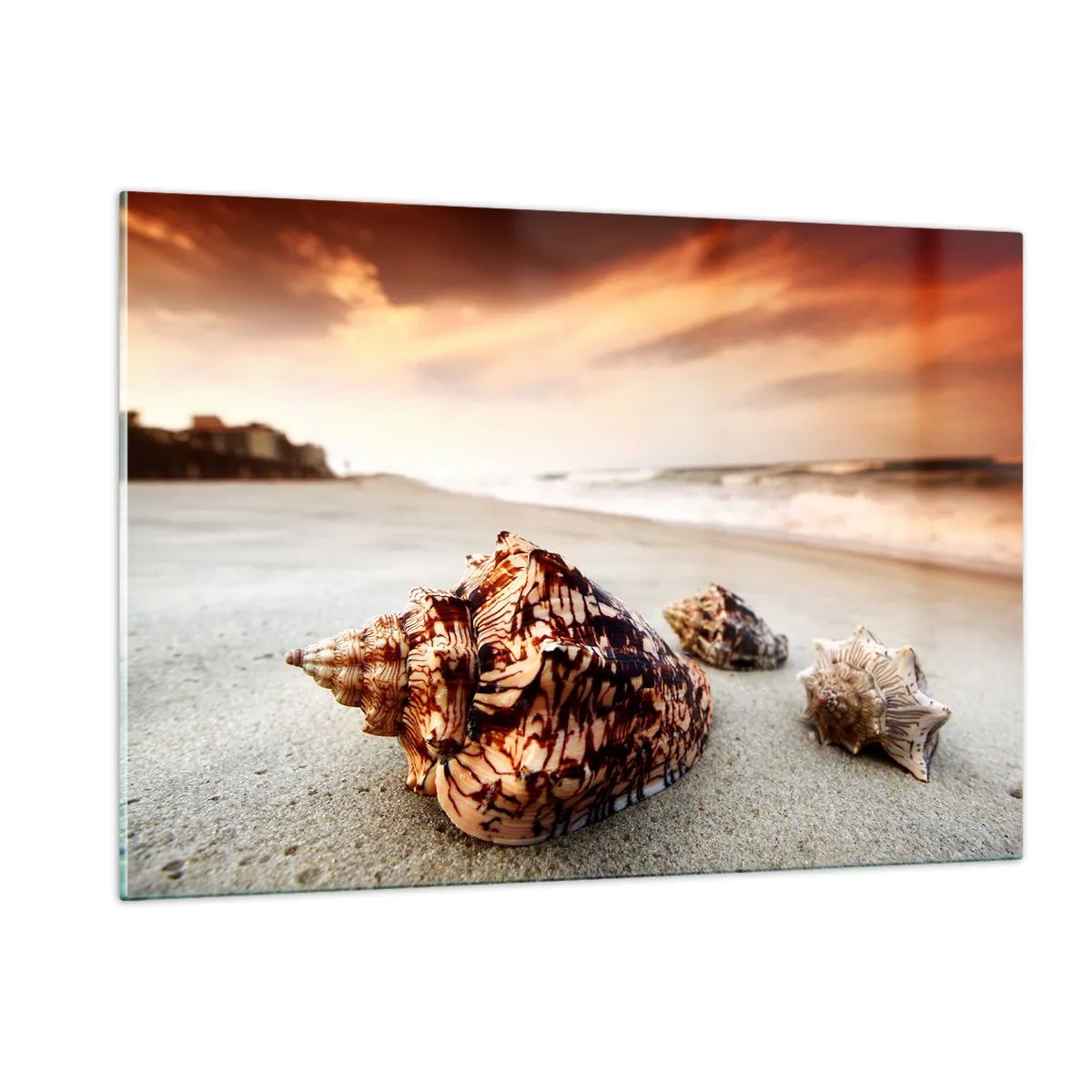Glasbild - Bild auf glas - Muscheln am Strand bei Sonnenuntergang - 120x80cm - Ausgestoßene von Wellen - Moderne Wanddekoration für Wohnzimmer und Schlafzimmer ARTTOR
