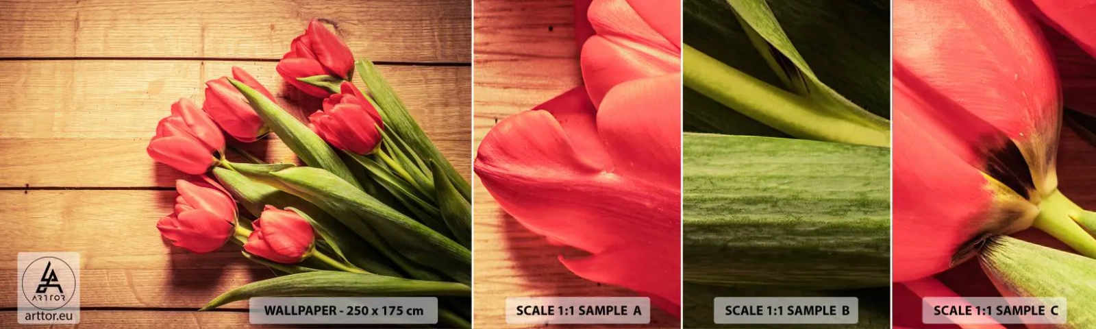 Fototapetenmuster Standard Eco - Frühlingsgeständnis - Blumen, Tulpen, Blumenstrauß - 100x30 cm