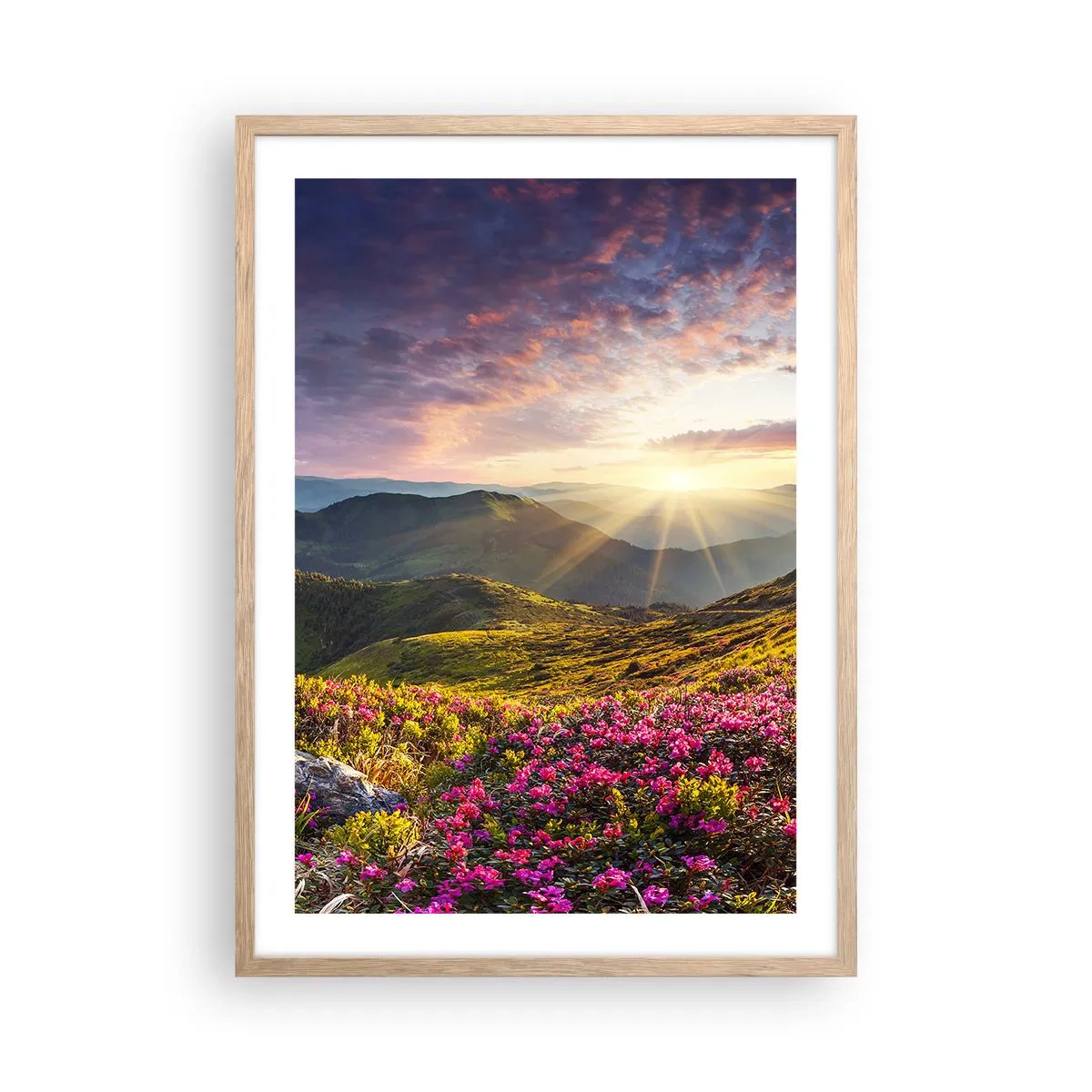 Poster in einem Rahmen aus heller Eiche - Frische am Bergmorgen - 50x70 cm