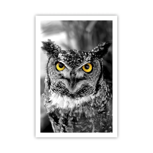 Poster - Nichts wird sich verstecken - 61x91 cm