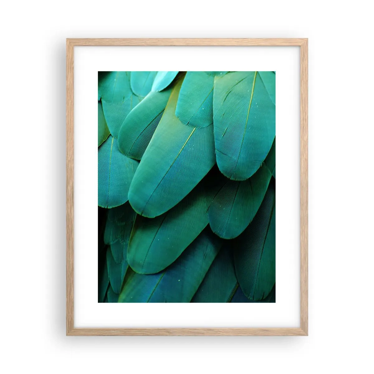 Poster in einem Rahmen aus heller Eiche - Papageienartige Präzision - 40x50 cm