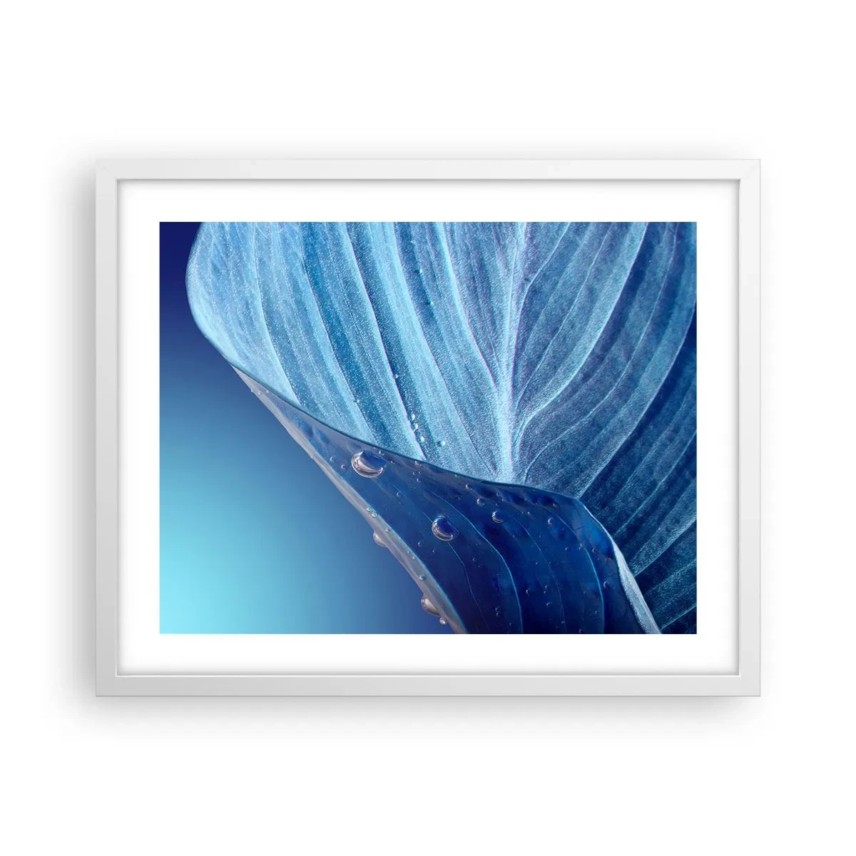 Poster in einem weißen Rahmen - Versteckte Tropfen vom Blau - 50x40 cm