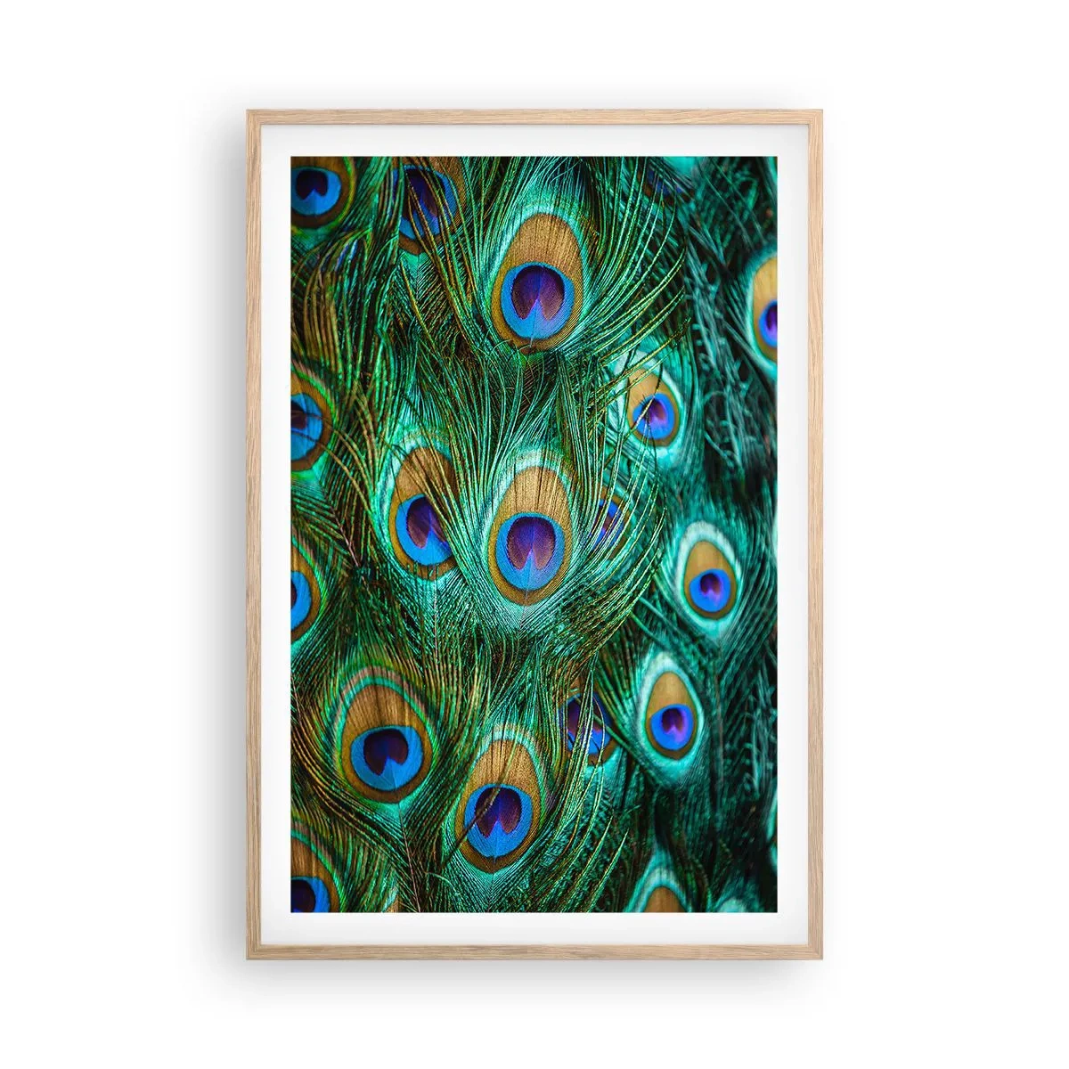 Poster in einem Rahmen aus heller Eiche - Ein Blick mit Pfauenaugen - 61x91 cm