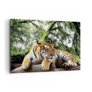 Bild auf Leinwand - Leinwandbild - Ein Tiger ruht in einem tropischen Wald - 120x80cm - Hochachtungsvoll - Moderne Wanddekoration für Wohnzimmer und Schlafzimmer ARTTOR
