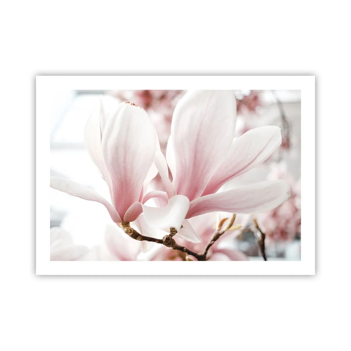 Poster - Eine Fülle von Zärtlichkeit - 70x50 cm