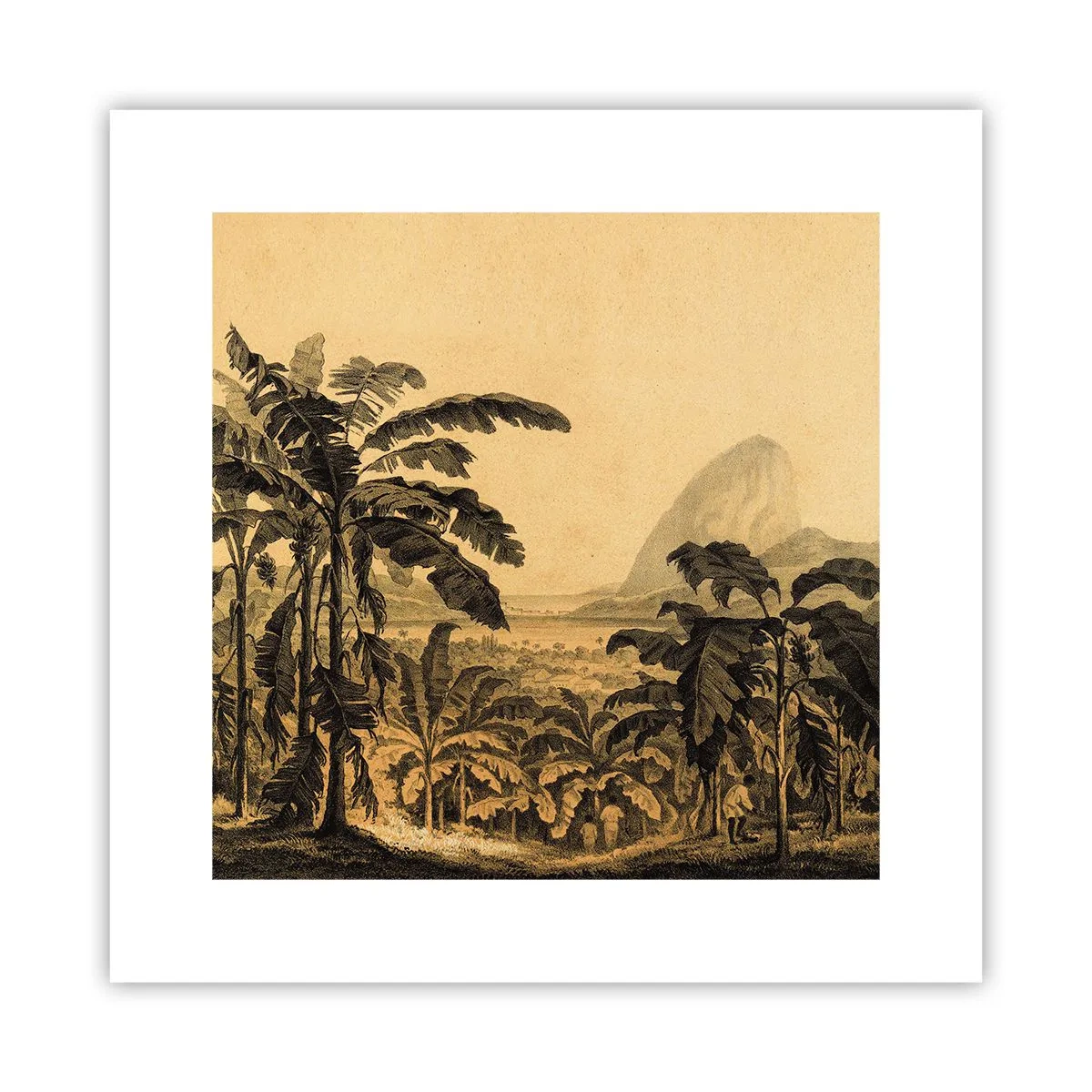 Poster - in einem kolonialen Klima - 30x30 cm