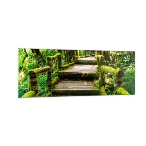 Glasbild - Bild auf glas - Eine mit Moos bedeckte Holzbrücke in einem tropischen Regenwald - 140x50cm - Ein Korridor voller Grün - Moderne Wanddekoration für Wohnzimmer und Schlafzimmer ARTTOR