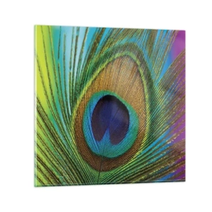 Glasbild - Bild auf glas - Auge in Auge - 50x50 cm