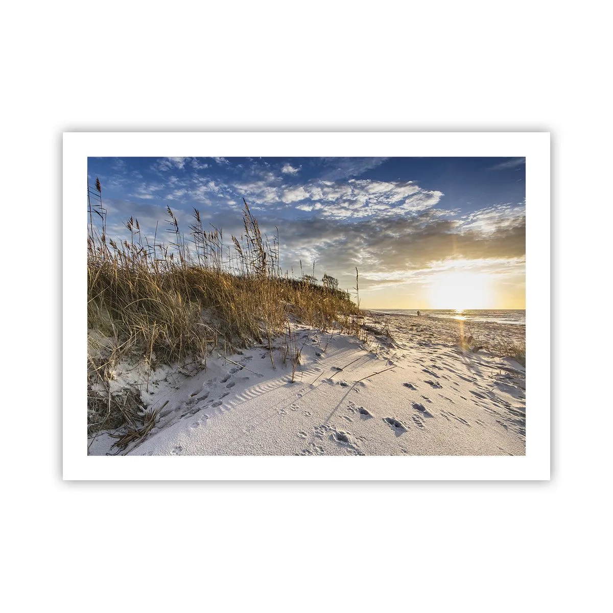Poster - Einladung zu einem Spaziergang - 70x50 cm