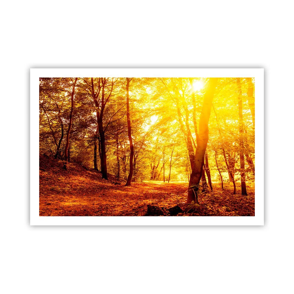 Poster - Auf die goldene Lichtung - 91x61 cm