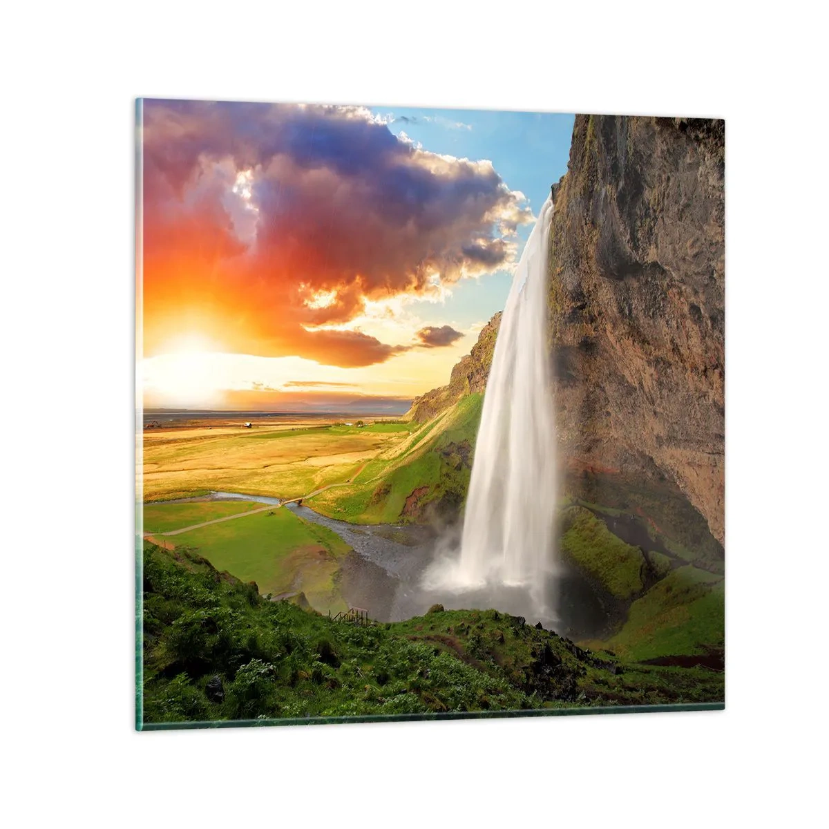 Glasbild - Bild auf glas - Die Fülle des isländischen Sommers - 60x60 cm