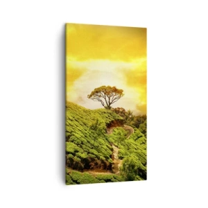 Bild auf Leinwand - Leinwandbild - Ein gewundener Weg, ein grüner Hang - 45x80 cm