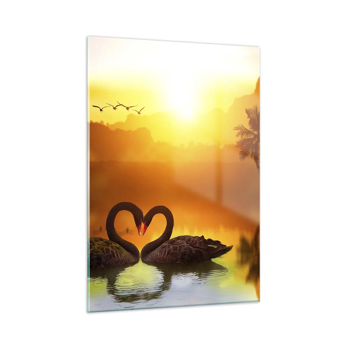 Glasbild - Bild auf glas - Schwarze Schwäne auf dem See bei Sonnenuntergang - 50x70cm - Alles passt zusammen - Moderne Wanddekoration für Wohnzimmer und Schlafzimmer ARTTOR