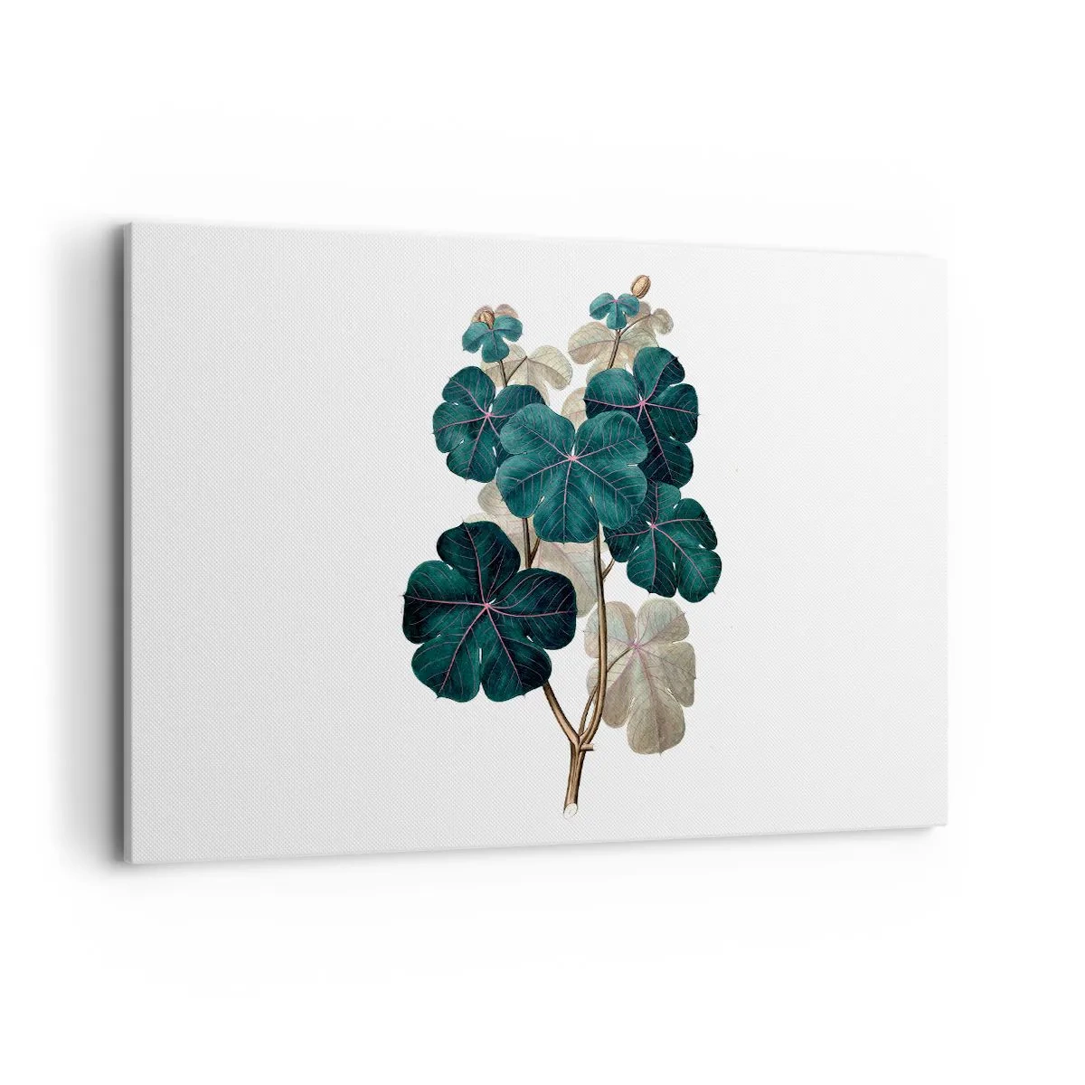 Bild auf Leinwand - Leinwandbild - Botanische Illustration mit Blättern in Grün- und Beigetönen - 120x80cm - Aus dem alten Herbarium - Moderne Wanddekoration für Wohnzimmer und Schlafzimmer ARTTOR