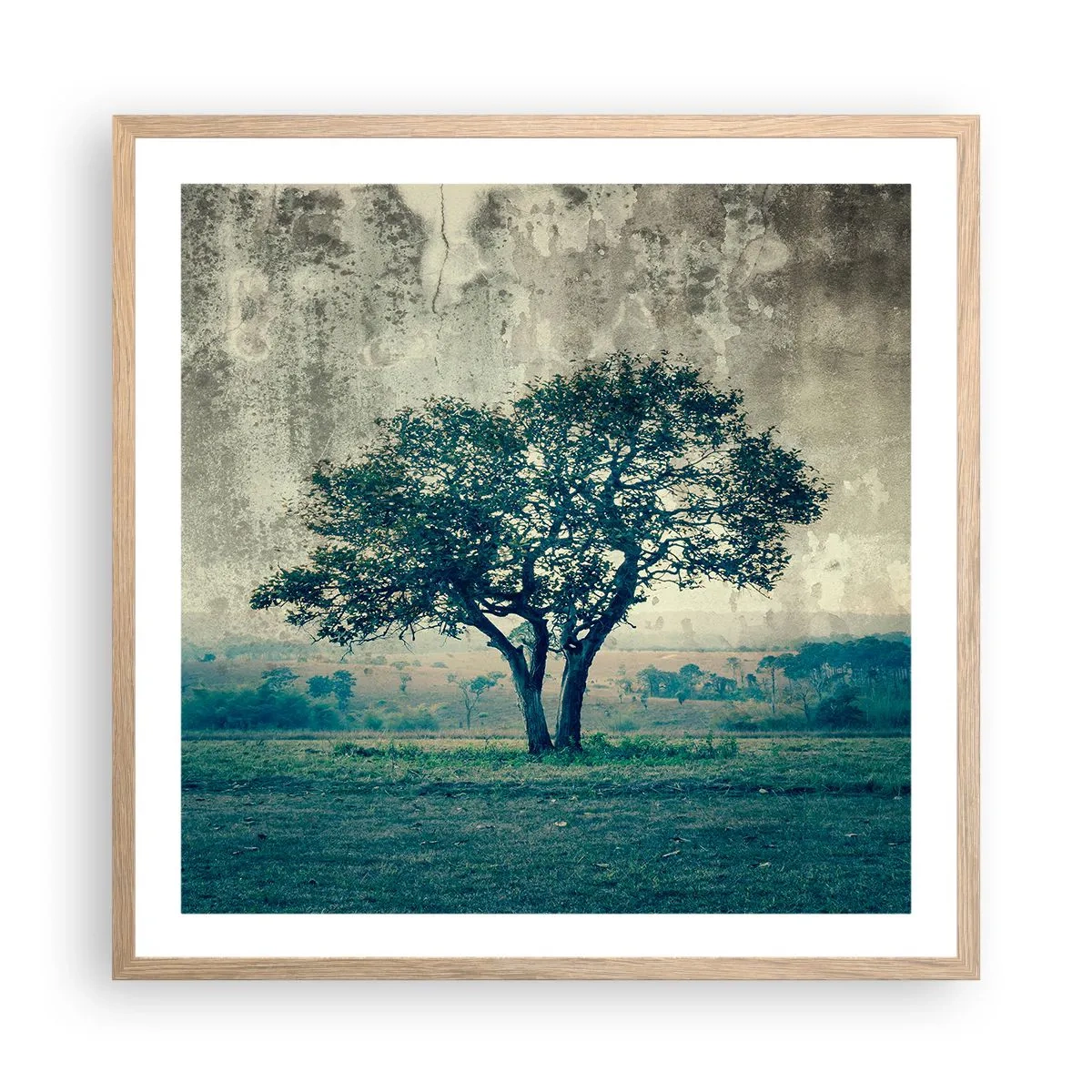 Poster in einem Rahmen aus heller Eiche - Ein Apfelbaum auf blauem Feld? - 60x60 cm