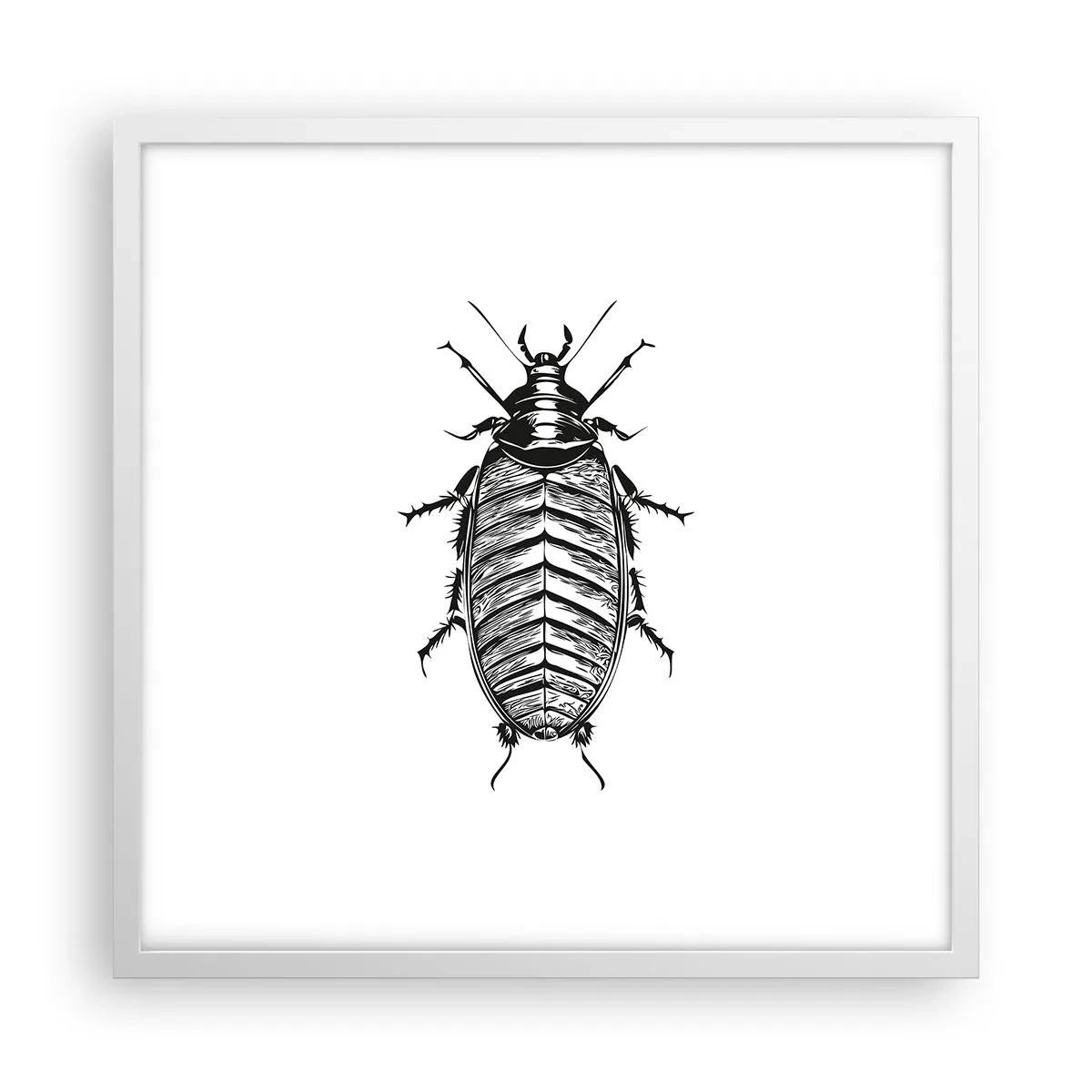 Poster in einem weißen Rahmen - Was für ein Exemplar! - 50x50 cm