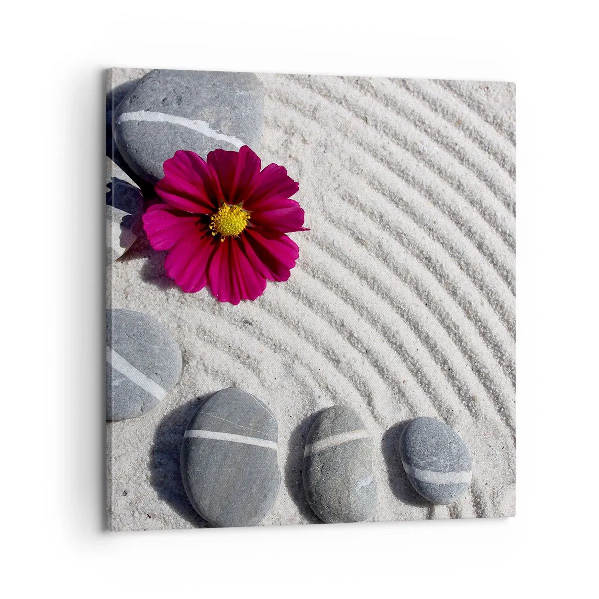 Bild auf Leinwand - Leinwandbild - Energie und Ruhe des Zauberkreises der Natur - 60x60 cm